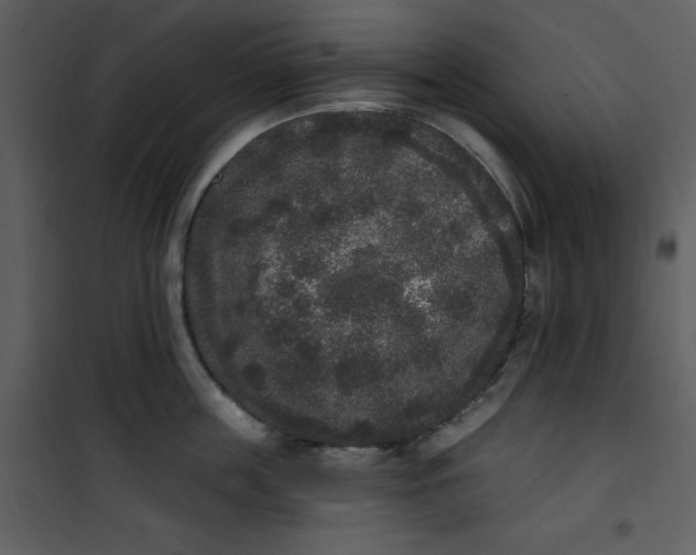 X0000101230859200807181601