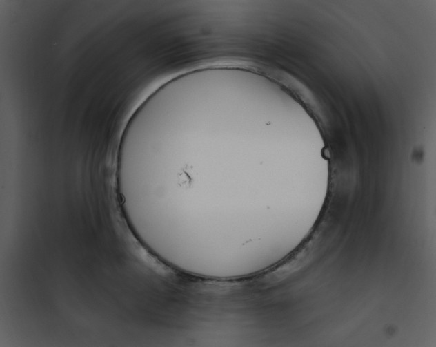 X0000101230860200807181601