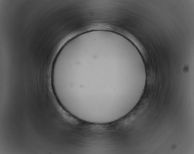 X0000101230861200807181601