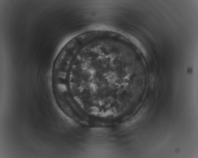 X0000101230863200807181601