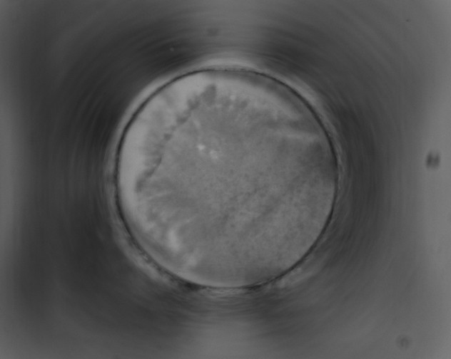 X0000101230864200807181601