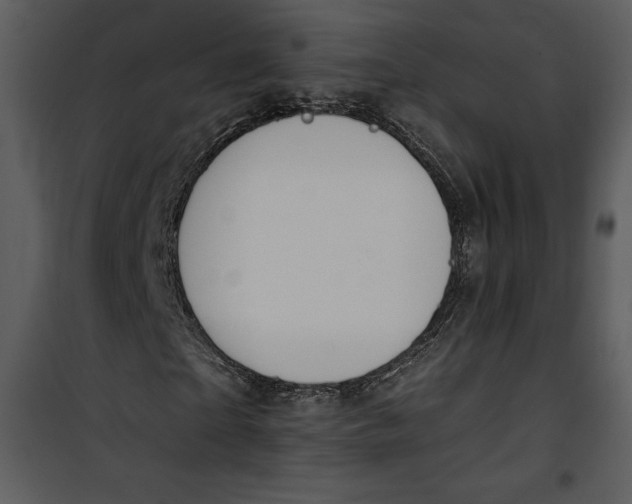 X0000101230865200807181601