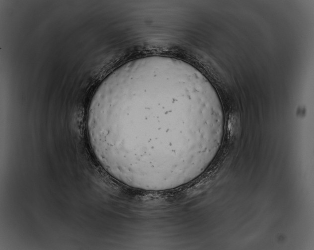 X0000101230867200807181601