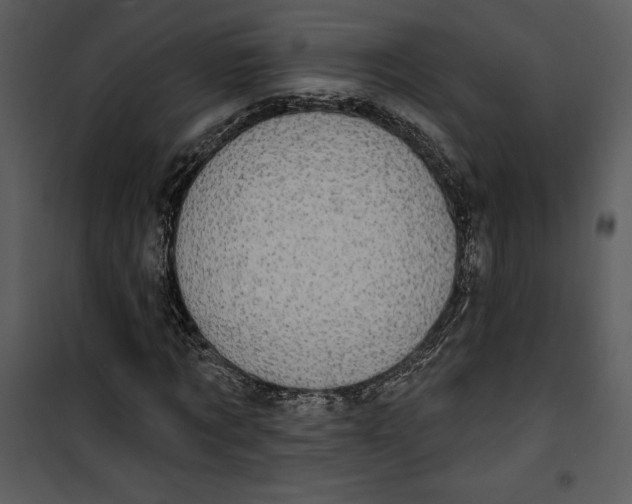 X0000101230869200807181601