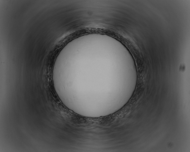 X0000101230870200807181600