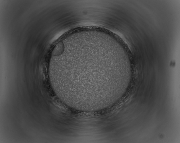 X0000101230871200807181600