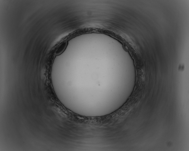 X0000101230872200807181600