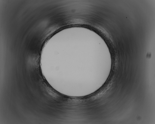 X0000101230873200807181600