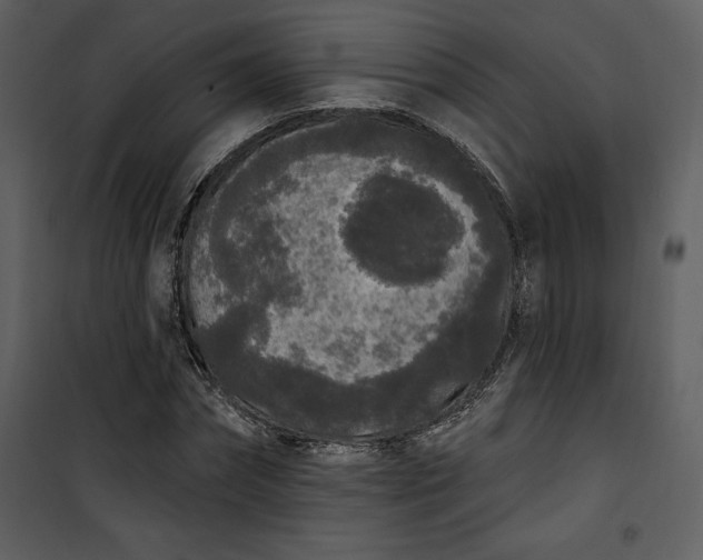 X0000101230874200807181600