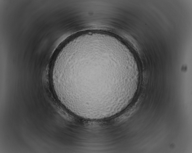 X0000101230875200807181600