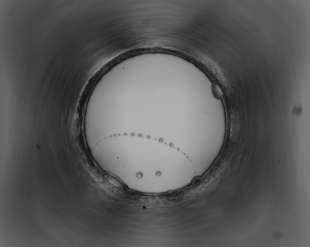 X0000101230876200807181600