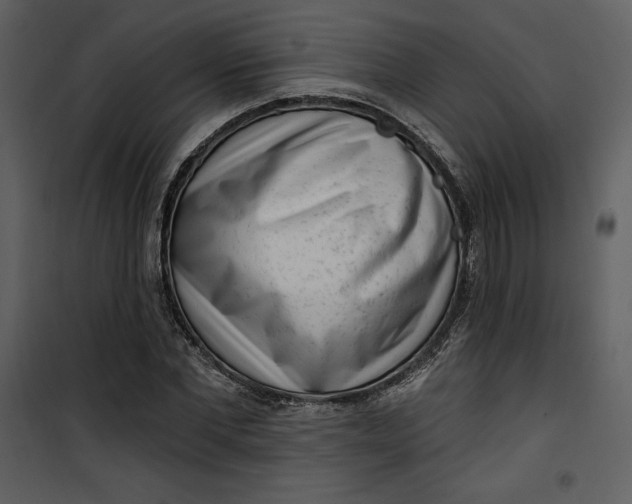 X0000101230877200807181600