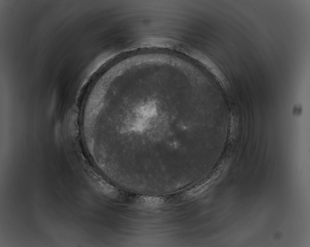 X0000101230878200807181600