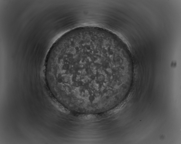 X0000101230879200807181600