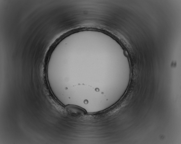 X0000101230880200807181600