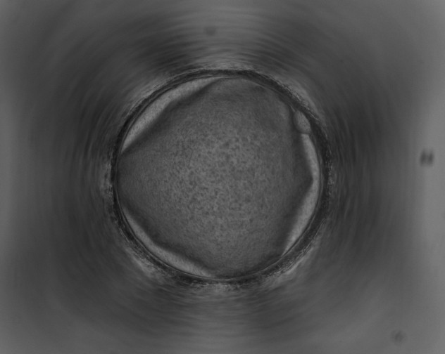 X0000101230881200807181600