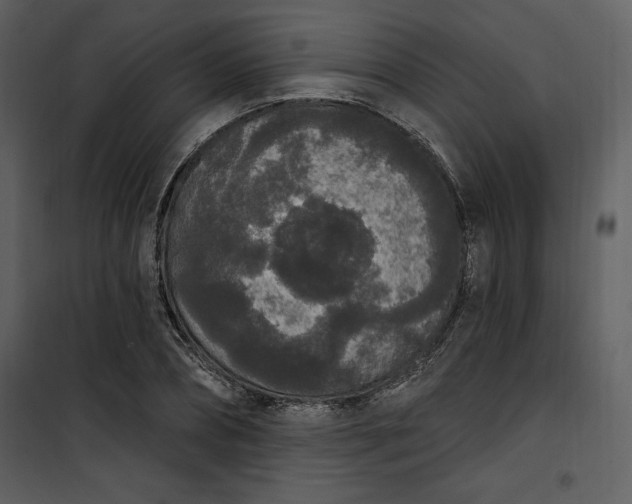 X0000101230882200807181600