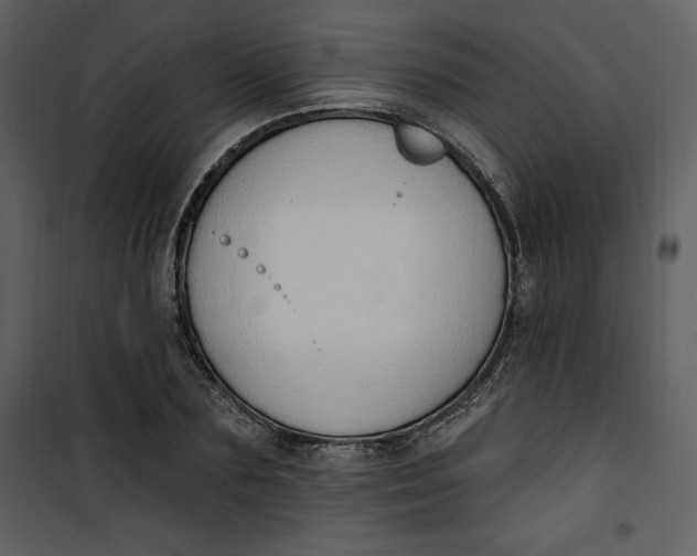 X0000101230883200807181600