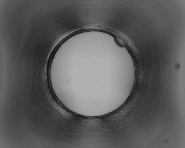 X0000101230884200807181600