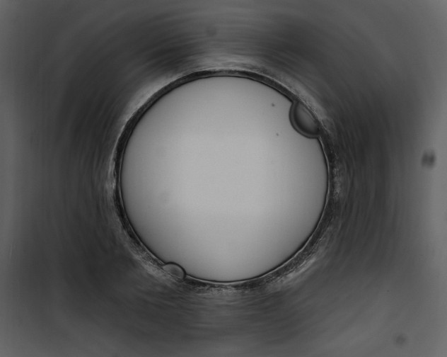 X0000101230885200807181600