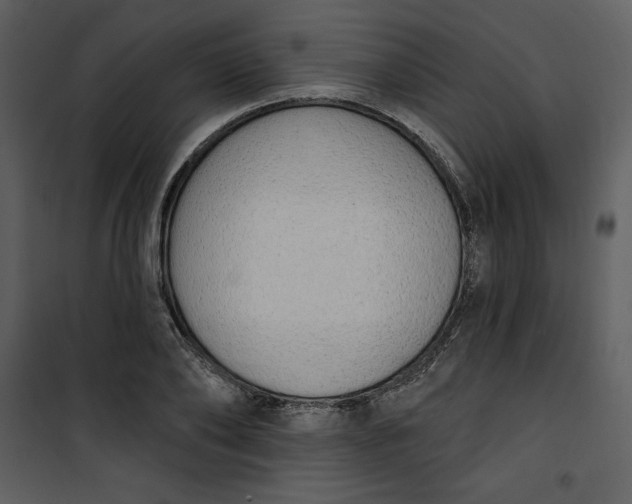 X0000101230886200807181600