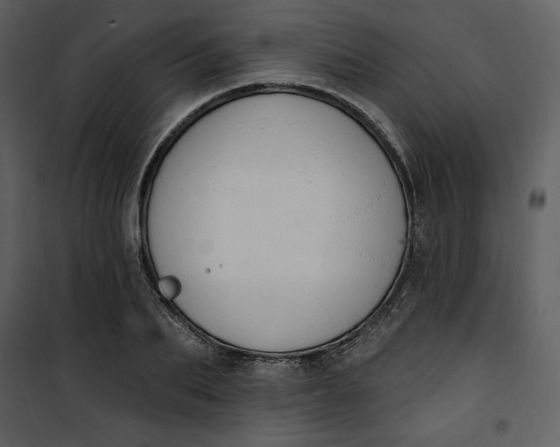 X0000101230887200807181600