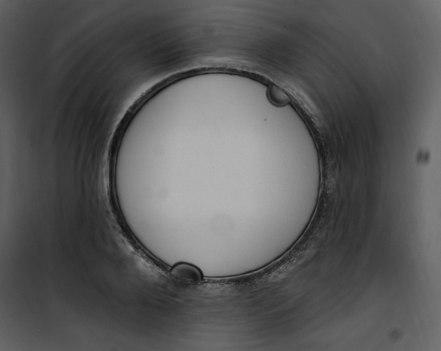 X0000101230888200807181600