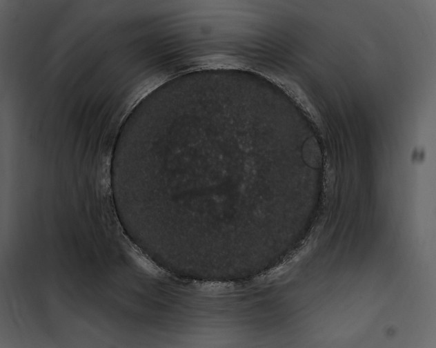 X0000101230889200807181600