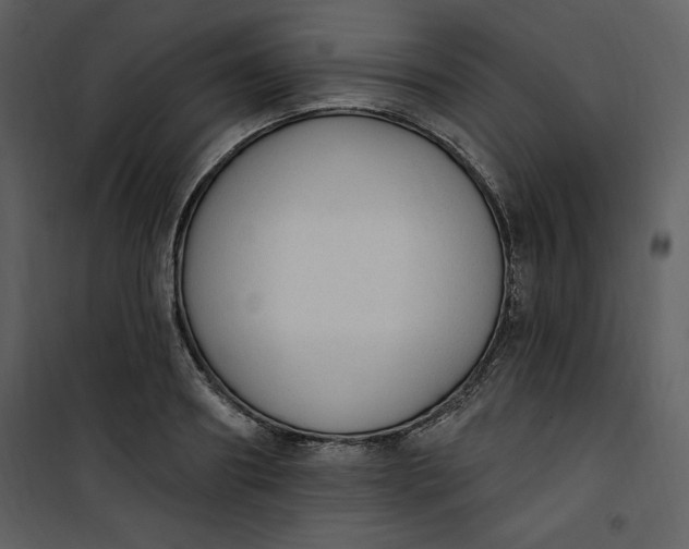 X0000101230890200807181600