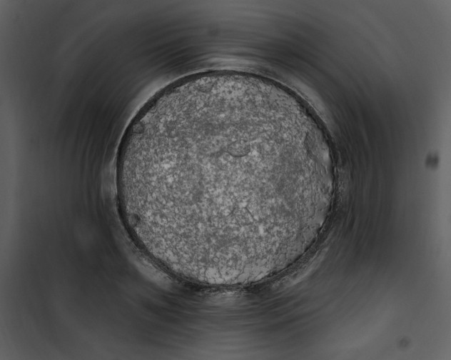 X0000101230891200807181600