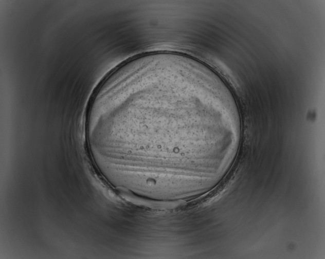 X0000101230892200807181600