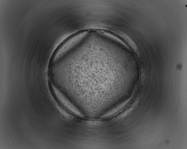 X0000101230893200807181600