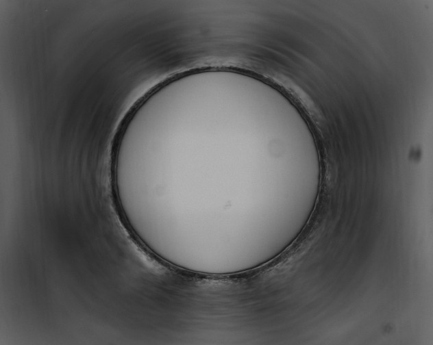 X0000101230894200807181600