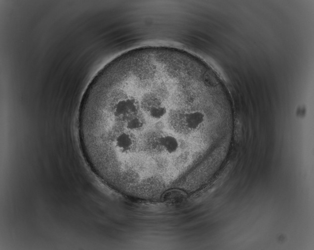 X0000101230895200807181600