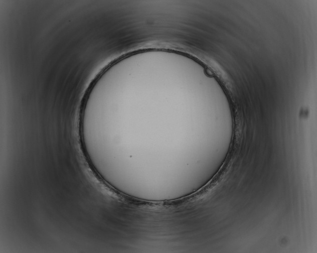 X0000101230896200807181600