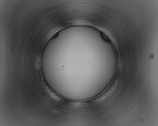 X0000101230897200807181600