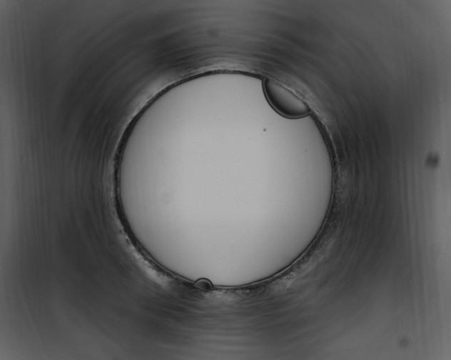 X0000101230898200807181600