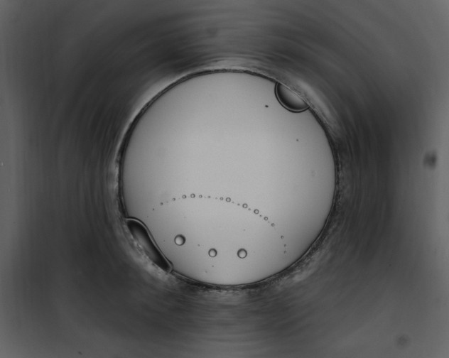 X0000101230900200807181600