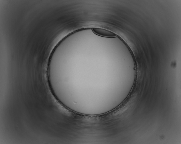 X0000101230901200807181600