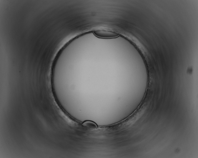 X0000101230902200807181600