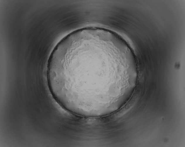 X0000101230903200807181600