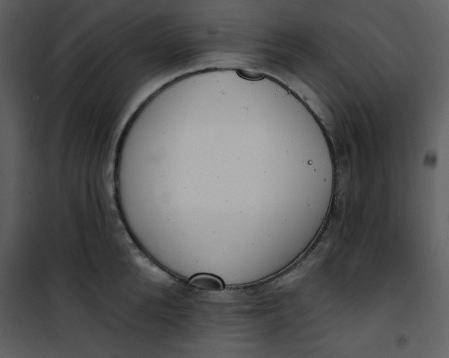 X0000101230904200807181600