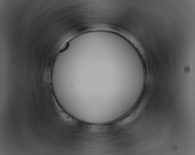 X0000101230905200807181600