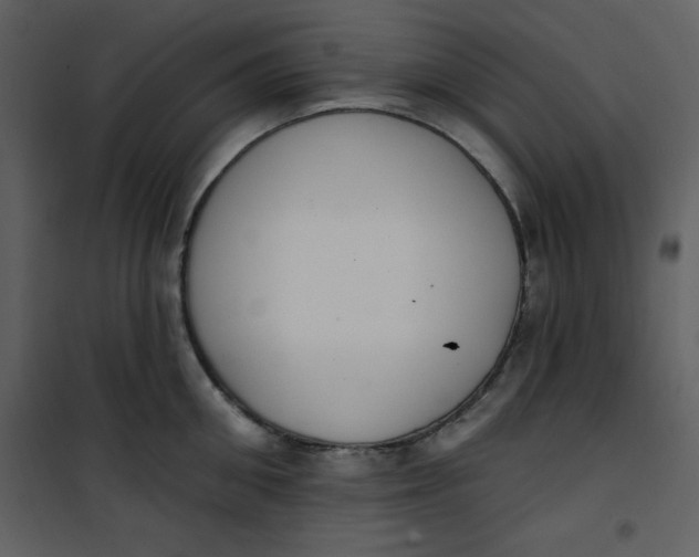 X0000101230906200807181600