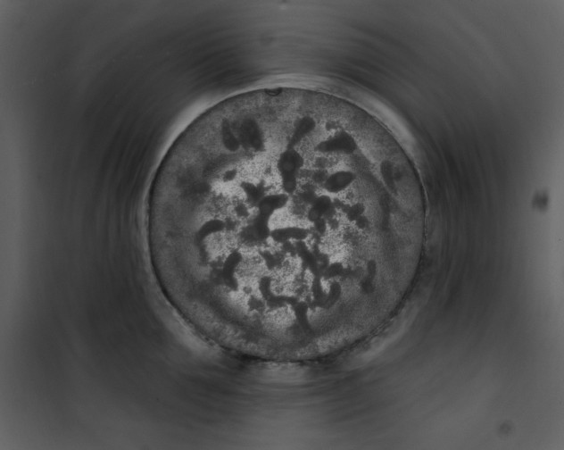 X0000101230907200807181600