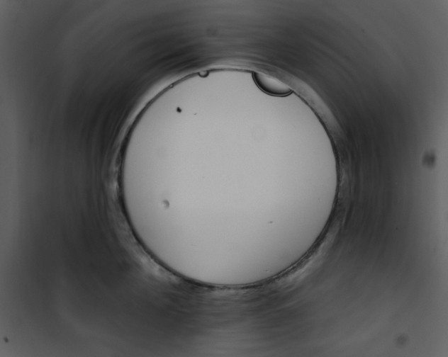 X0000101230908200807181600