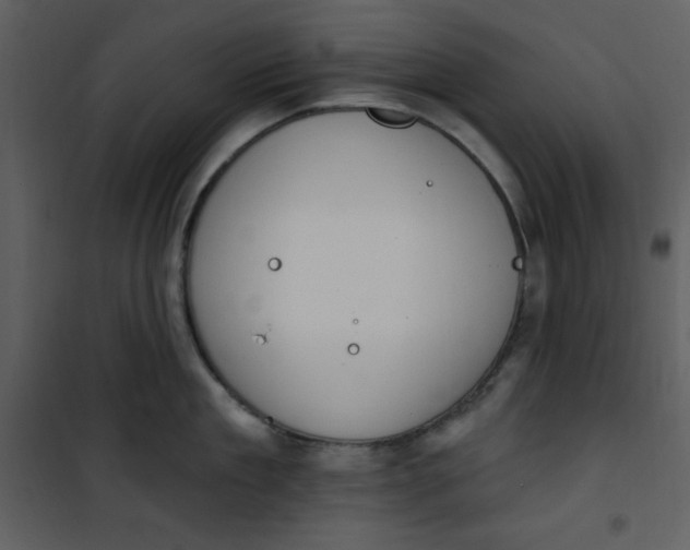 X0000101230909200807181600