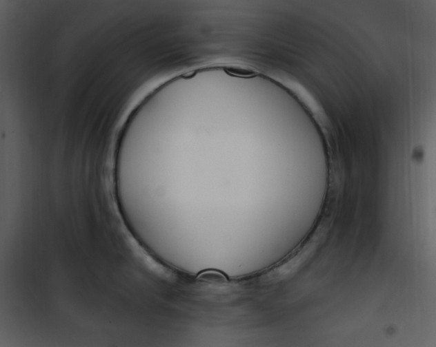 X0000101230910200807181600