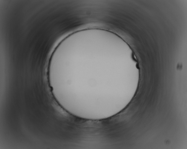 X0000101230912200807181600