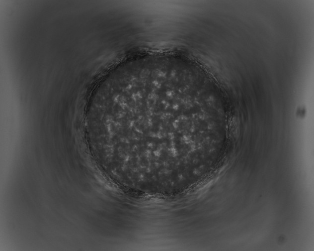 X0000101230913200807181559